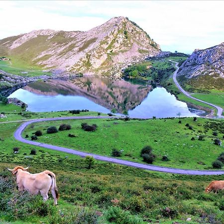 Vivienda Vacacional El Cuetu Del Sella Llames de Pría Eksteriør billede